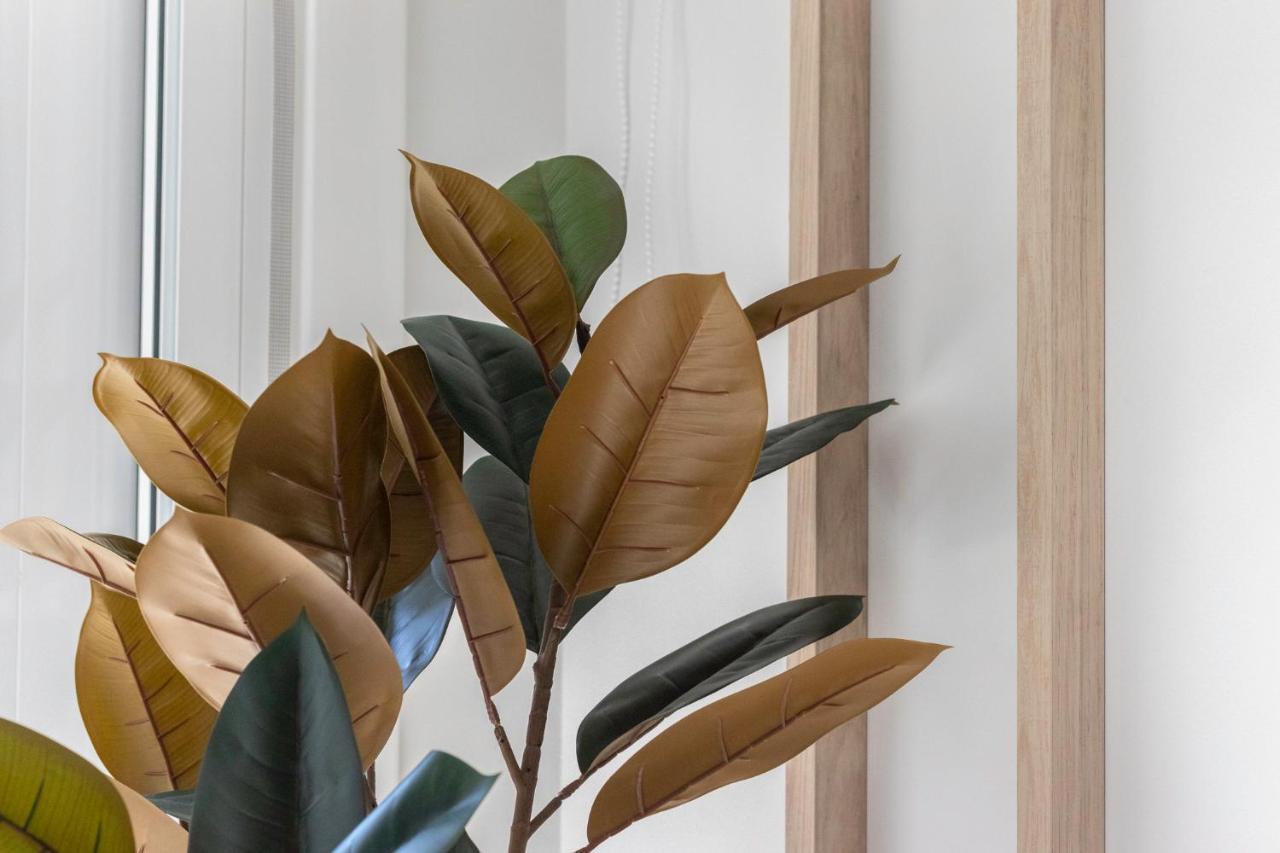 Apartmán Nuevo Y Precioso En Algorta Con Parking Getxo Exteriér fotografie